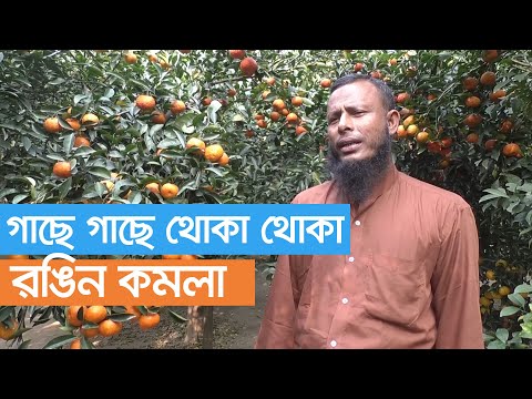 ভিডিও: চেরভিল বাগান