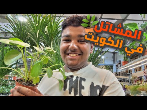 مشاتل الكويت شريت نباتات جديدة 