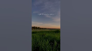تلاوة من سورة النور | ماهر المعيقلي | #quran #youtube #reels #edit #قرآن #