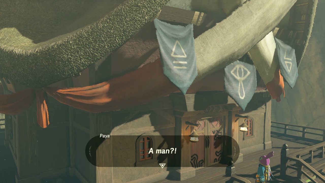 What... What is going on in Paya's Bedroom?... - Breath of the Wild