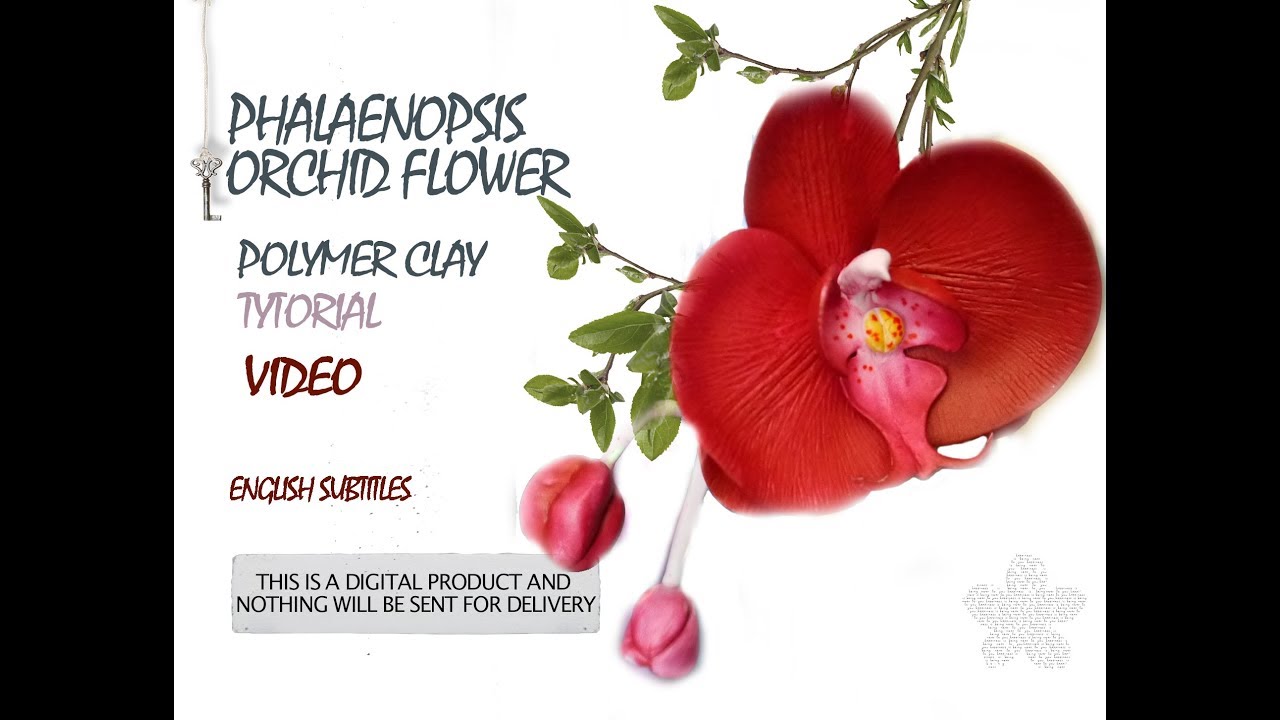Phalaenopsis Orchid flower video tutorial polymer clay©