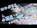 【#はやぶさ2】小惑星トリフネフライバイミッションリアルタイム解説✨一緒に応援! #宇推くりあ