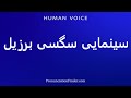 How To Pronounce سینمایی سگسی برزیل 