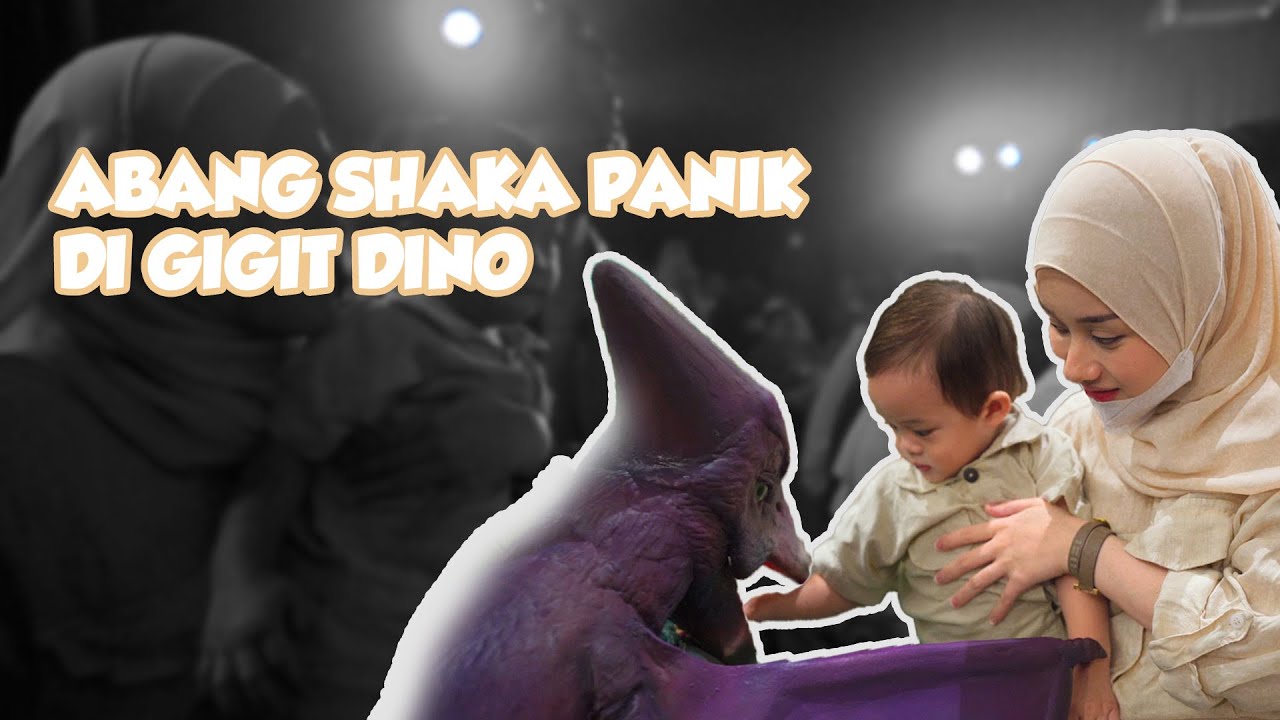 SHAKA DISERANG DINO!! | REINTV