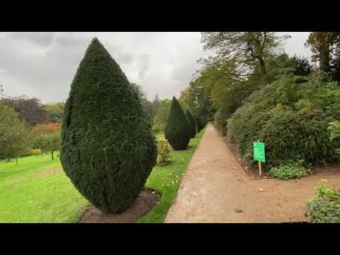 Mindful Nature Walk in an English Garden with Rain.