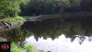 Hidden Pond
