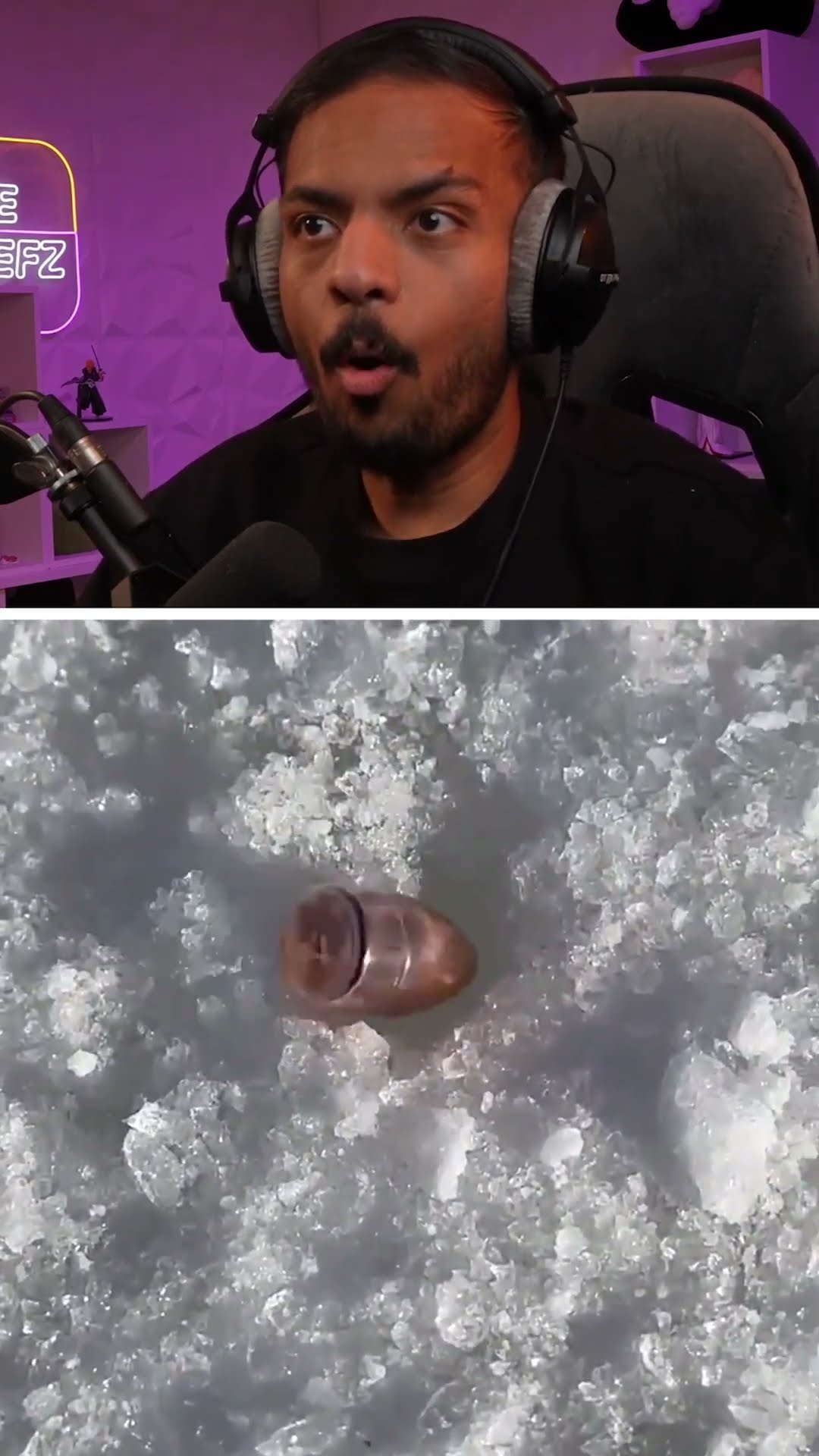 أيش بيصير لو اطلقت رصاصة على الثلج؟