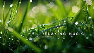 Relaxing Music with Rain feels - Relaxing Music For Stress Relief, Sleep Music, Meditation Music
