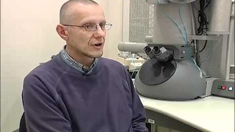 Conn Center: Materials Characterization