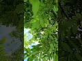 Beautiful nature