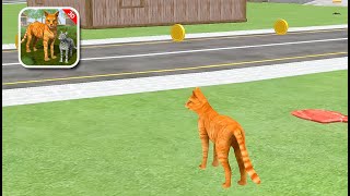 Cat Family Simulator 2021 - Gameplay Walkthrough #2 screenshot 2
