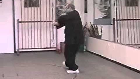 Pa Kua - Palm Changes - Cover Body Palm Right Side - Walking