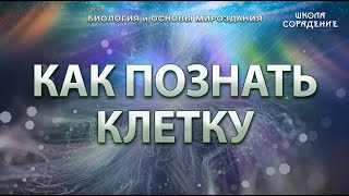 Как познавать клетку #клетка #биологияИмироздание #Весталия #книгажелезы #школаCорадение