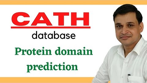 CATH database | Protein Domain Prediction | Protein structure, classification database