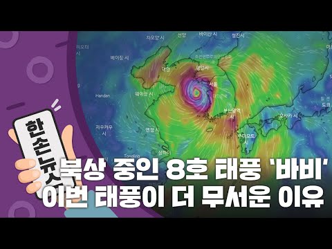 15초 뉴스 북상 중인 8호 태풍 바비 이번 태풍이 더 무서운 이유 YTN 