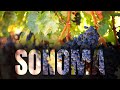 Transparent Text Effect On Black Effect Animation Adobe Express🎓 Multiply Blend Erase/Photoshop Mask