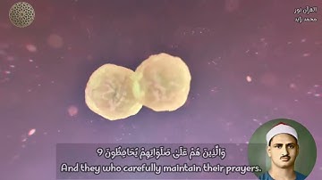 فواتح سورة المؤمنون بصوت الشيخ محمد صديق المنشاوي في وصف عباد الله المُفلِحين و مراحل خلق الإنسان