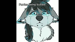 Anti Furry Meme #1 #antifurry #furries #memes