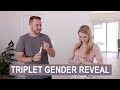 TRIPLET Gender Reveal