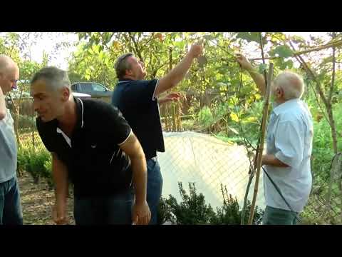 \"მოიზიდე და მოკალი\" სადგურის დამონტაჟება