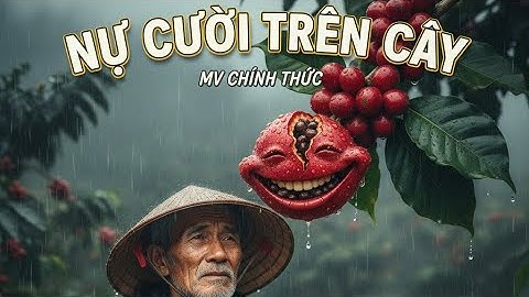 HẠT CƯỜI TRÊN CÂY (MV Rap) - Nỗi Lòng Nông Dân Cà Phê Mùa Mưa Lũ