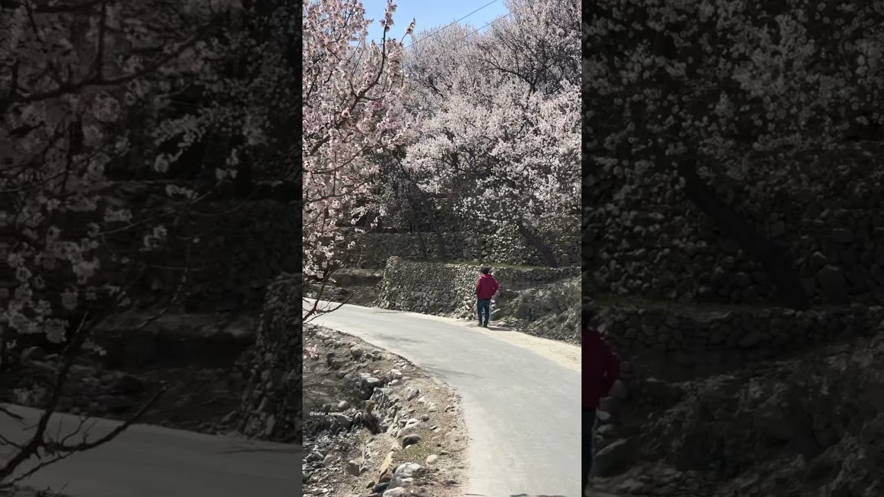 Nature Videos 4k | Ultra HD Nature Videos 4k | Nature 4k Ultra HD video | Vertical video 4k Nature