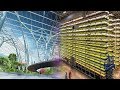 China Innovation! The Most Advanced Indoor Farming In China