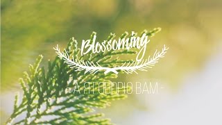 Video thumbnail of "Blossoming - А Я говорю вам (lyrics)"