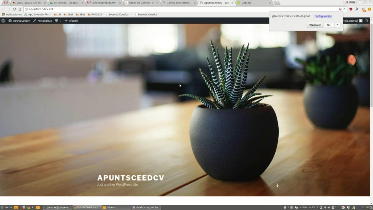 New Update instar wordpress en dinahosting y como hacer wordpress multilingüe