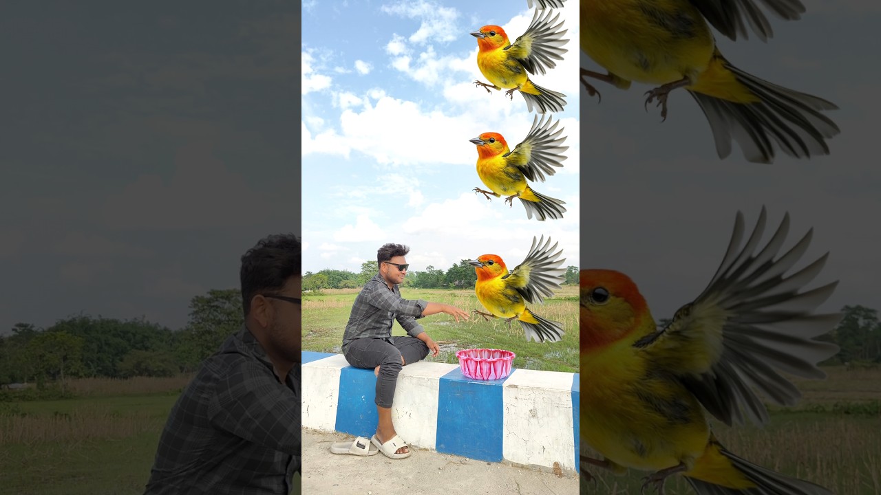 June 17, 2025 इतना सारा मछली 🐠😱😱🥰🥰#shortvideo #youtubeshorts #god