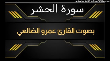 سورة الحشر _ بصوت القارئ عمرو الضالعي