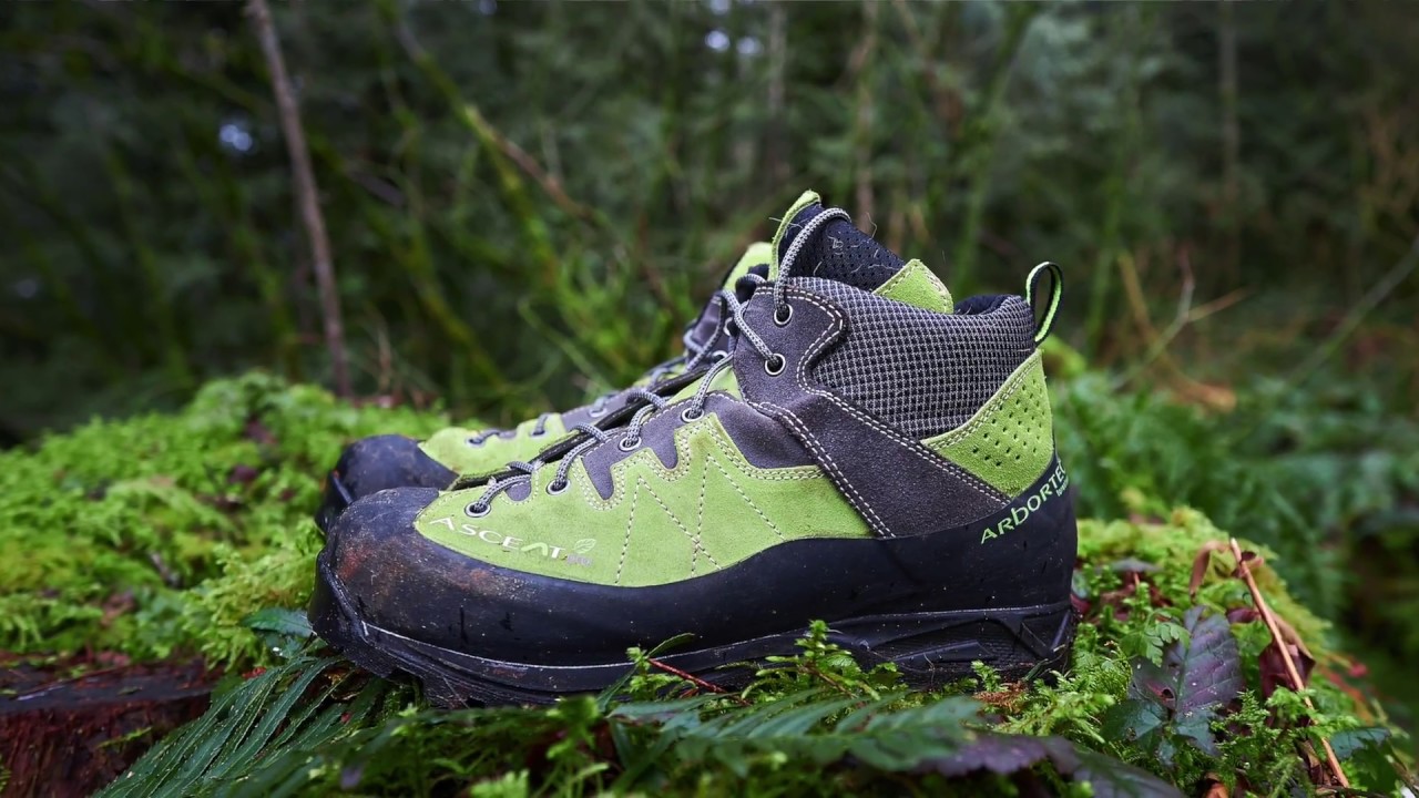 arborist climbing shoes