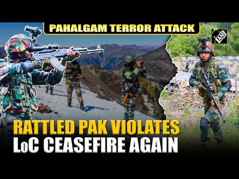 Pakistan violates border