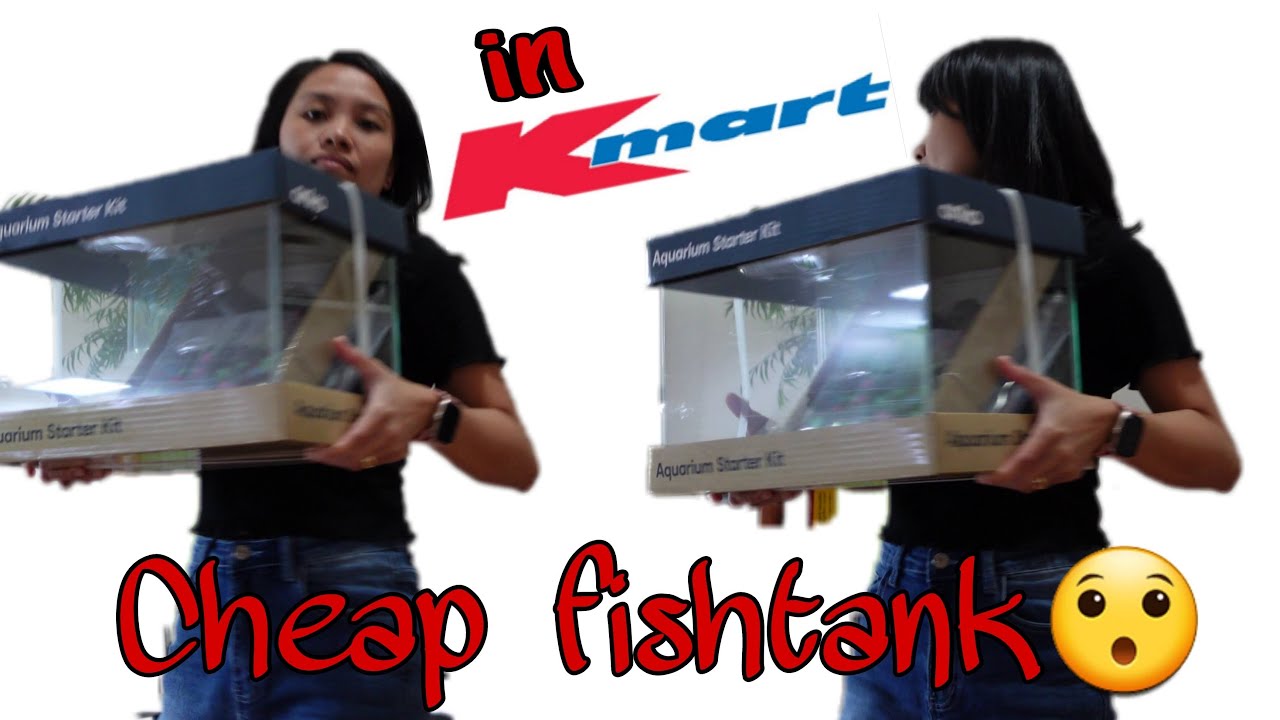 Buying a cheap aquarium in Kmart YouTube