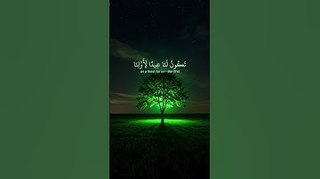تلاوة جميلة للشيخ ياسر الدوسري تجعل القلب يذوب