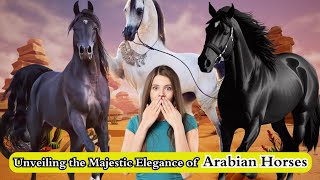 Unveiling the Majestic Elegance of Arabian Horses, Galloping Beauty and Beyond by Pups & Pets 2,502 views 8 months ago 3 minutes, 49 seconds