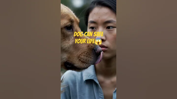 Dogs Can SMELL CANCER?! 🐶👃😱 #funfacts #shorts #animals #animalfacts #dog #petshorts