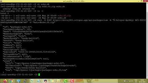 Octopus Deploy :  API to Push Packages | Video - 16
