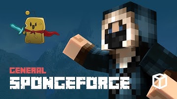 How to install and use Spongeforge
