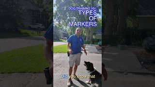 Yes, Good, Nope Understanding Marker Words in Dog Training