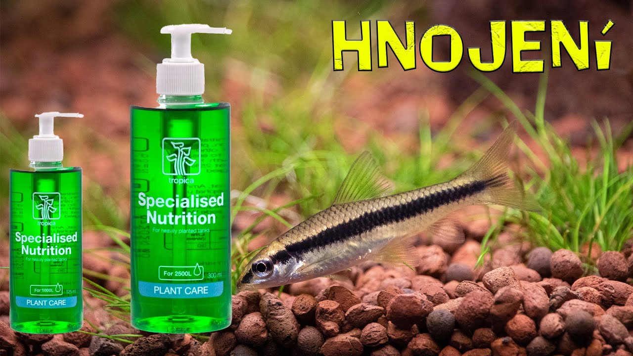 Hnojení / KonAkva #101