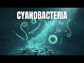 Cyanobacteria | Biology, Structure, and Significance | Learn in 6-Mins