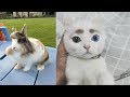 【イケメン】かっこよくてヤバい！遺伝子が凄いと思う動物たちに癒される♡～Cool! Animals that the genes are amazing.
