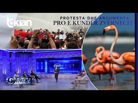 Opinion - Protesta dhe argumentet pro e kundër Zvërnecit - 3 Qershor 2026