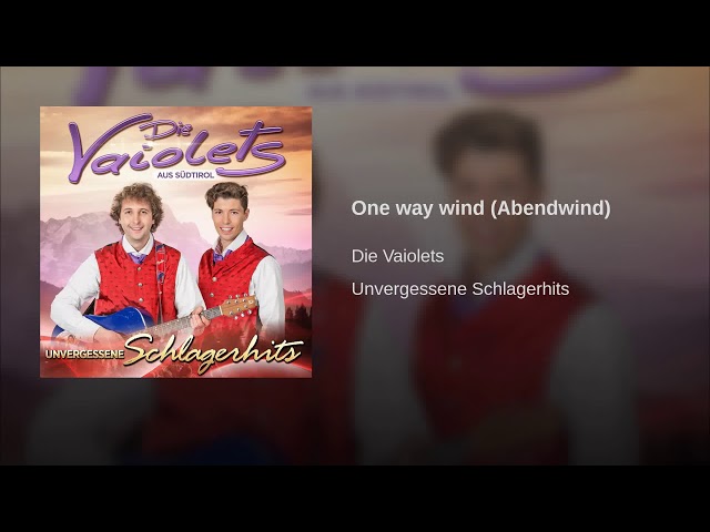 Vaiolets - One way Wind