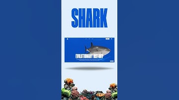 The future of Web Design. Web Design Inspiration.  Figma Designs. #webdesign #websitedesign #shorts