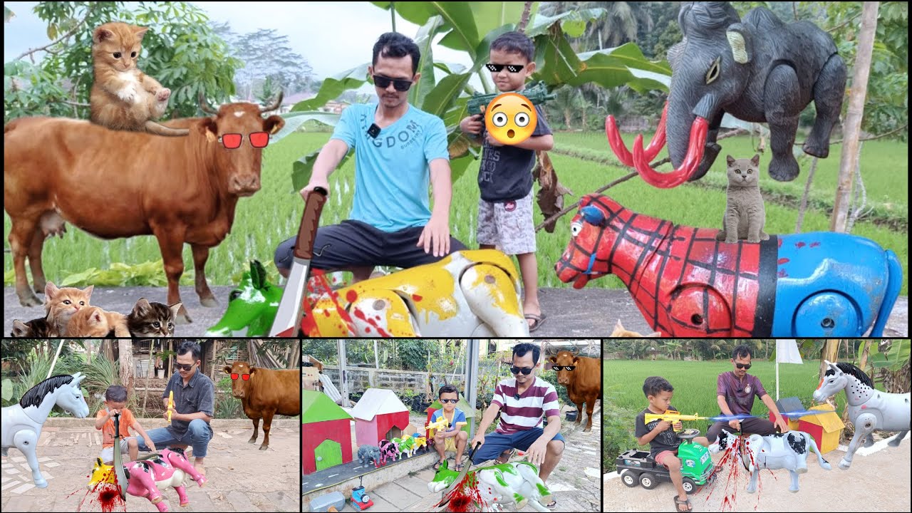 WOW 🐮5 EPISODE -  EDISI WADIDAU ‼️PROSES POTONG SAPI MOO KURBAN