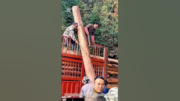 Loading and transporting wood onto trucks