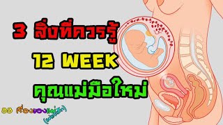 3 ข้อที่ควรรู้ การตรวจคัดกรองดาวน์ซินโดรม อายุครรภ์ 12 สัปดาห์ EP-3