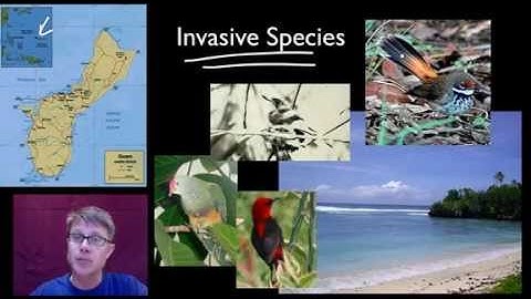 Homeostatic Disruptions